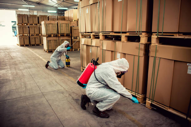 Best Affordable Pest Control Services  in Country Club Estates, GA