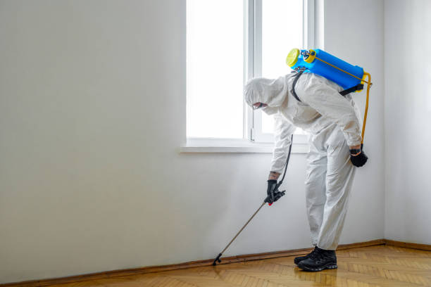 Trusted Country Club Estates, GA Pest Control Experts