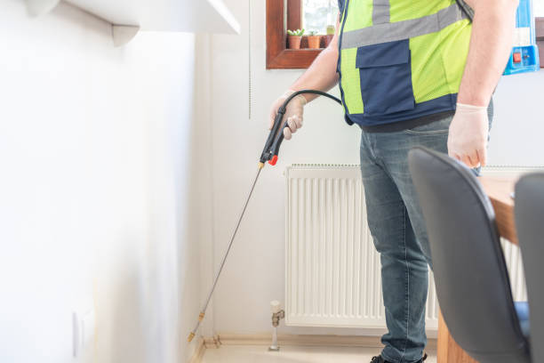 Best Flea Control Services  in Country Club Estates, GA