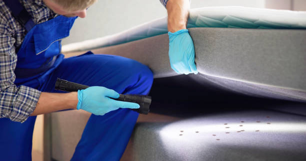 Best Wasp Removal Services  in Country Club Estates, GA