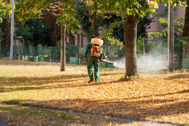 Best Exterminator Services  in Country Club Estates, GA