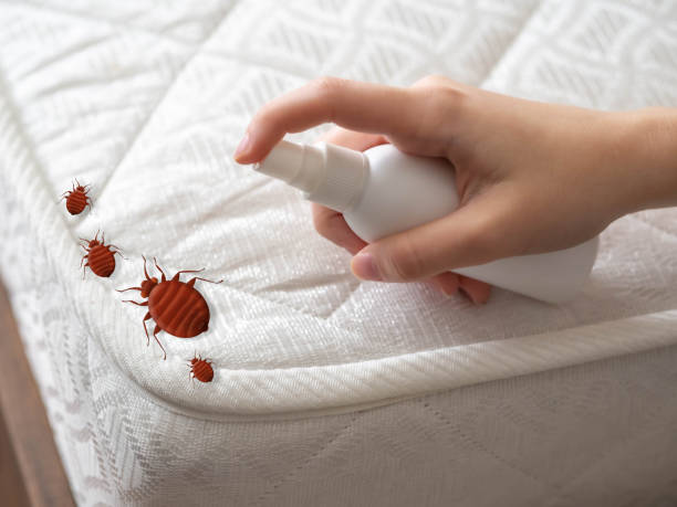 Best Exterminator Services  in Country Club Estates, GA